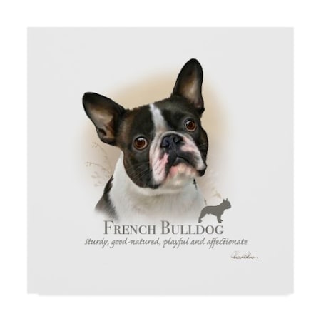 Howard Robinson 'French Bulldog' Canvas Art,24x24